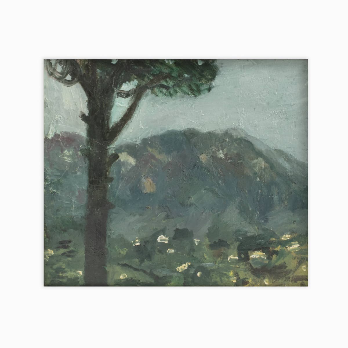 Preben Fjederholt "San Cataldo"