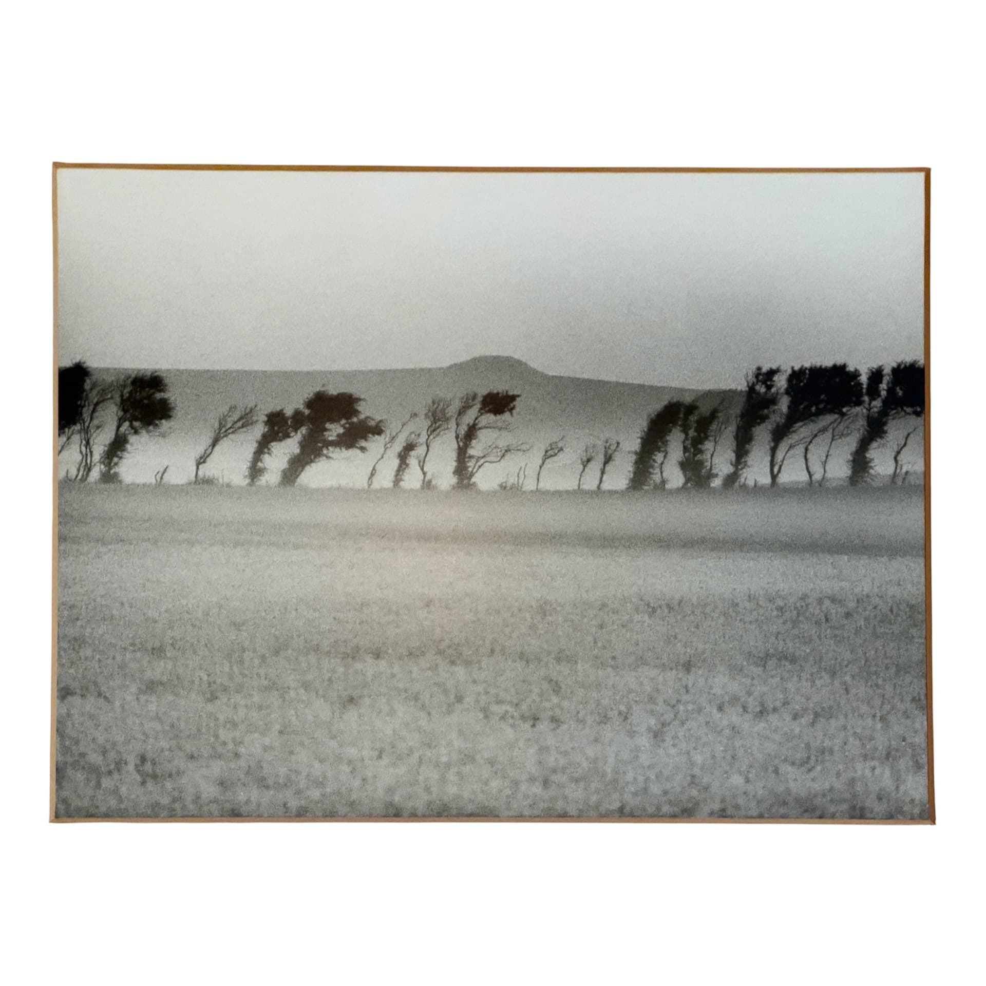 Kirsten Klein. "Sommermorgen på Nord Mors". 1983